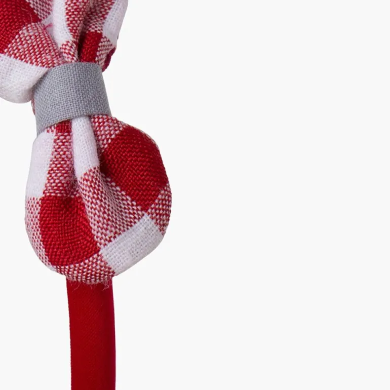 Pisamonas Bandolete Lacinho Vichy