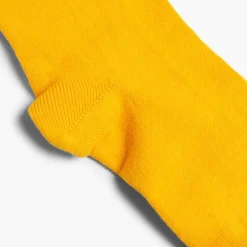 Menino Pisamonas Collants Condor Lisos